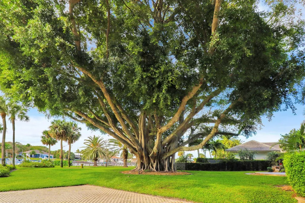 515 Bay Colony Drive Juno Beach, FL 33408