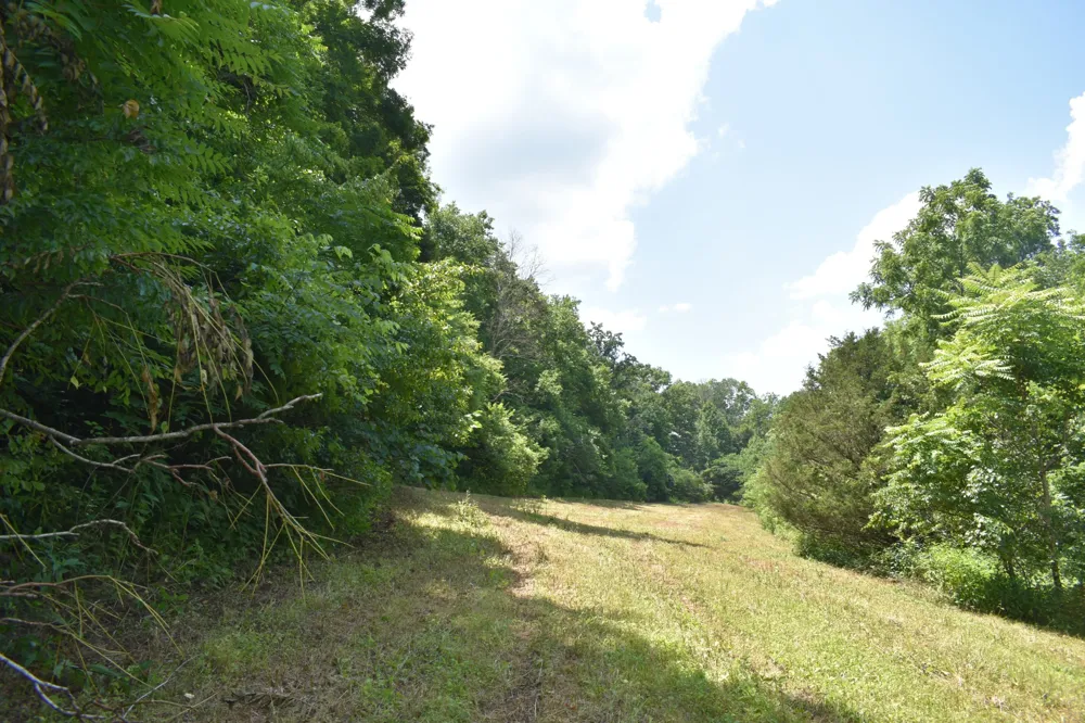 0 Nascar Ln Pleasant Shade, TN 37145