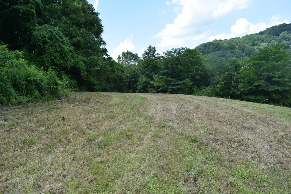 0 Nascar Ln Pleasant Shade, TN 37145