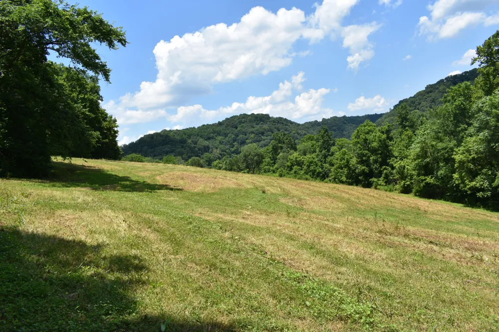 0 Nascar Ln Pleasant Shade, TN 37145