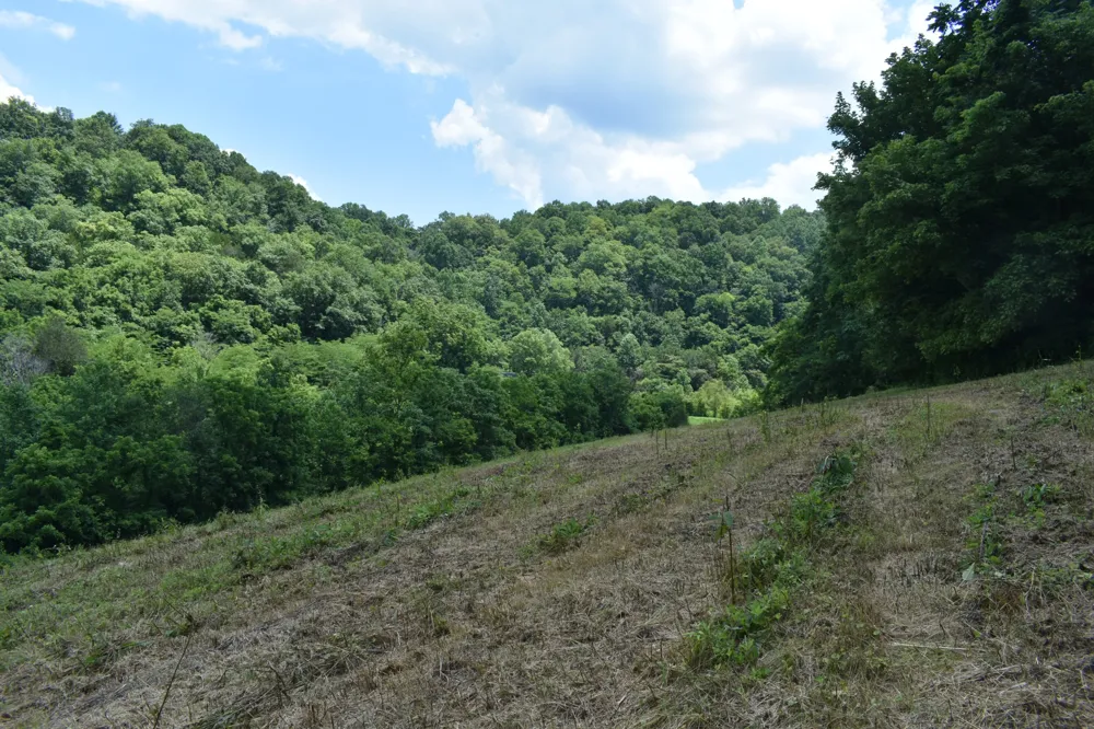 0 Nascar Ln Pleasant Shade, TN 37145