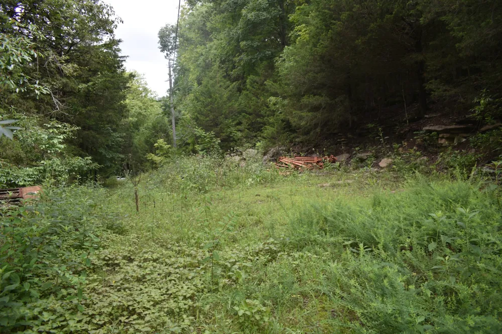 0 Ben Gentry Ln Elmwood, TN 38560