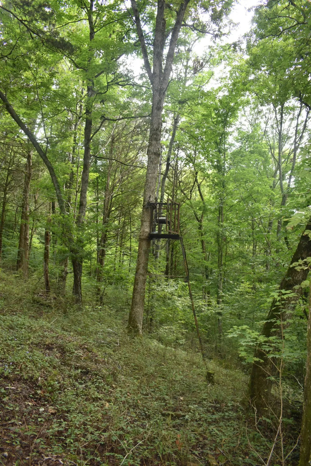 0 Ben Gentry Ln Elmwood, TN 38560