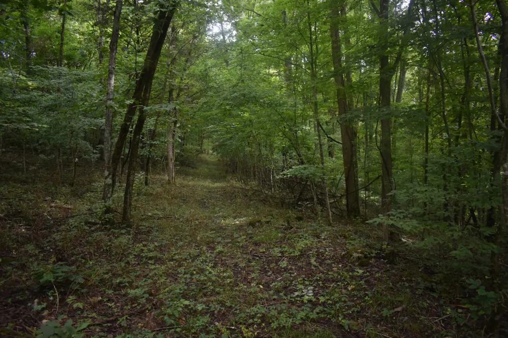 0 Ben Gentry Ln Elmwood, TN 38560