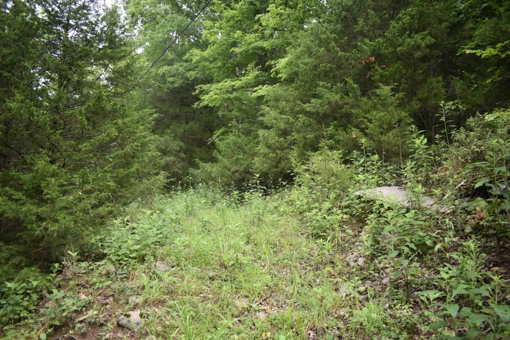 0 Ben Gentry Ln Elmwood, TN 38560