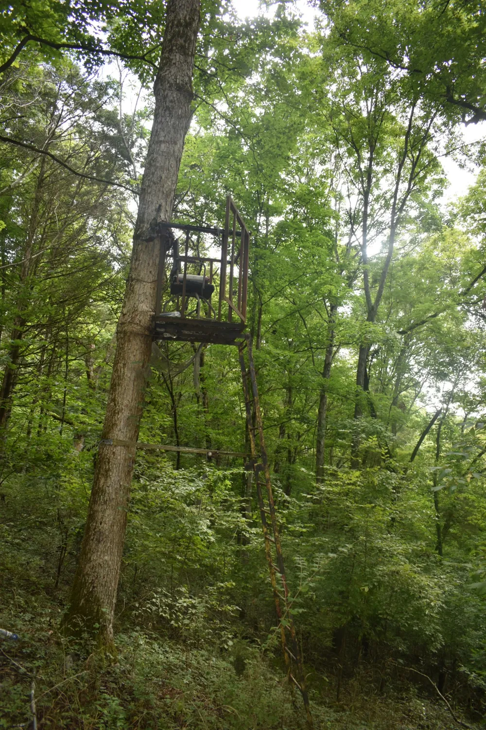 0 Ben Gentry Ln Elmwood, TN 38560