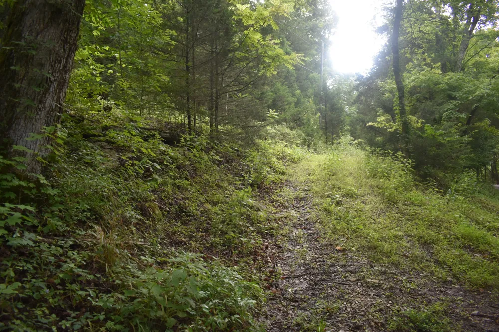 0 Ben Gentry Ln Elmwood, TN 38560