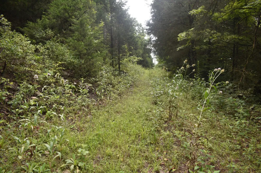 0 Ben Gentry Ln Elmwood, TN 38560