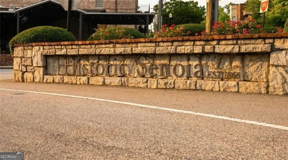 61 Bourbon ST Senoia, GA 30276