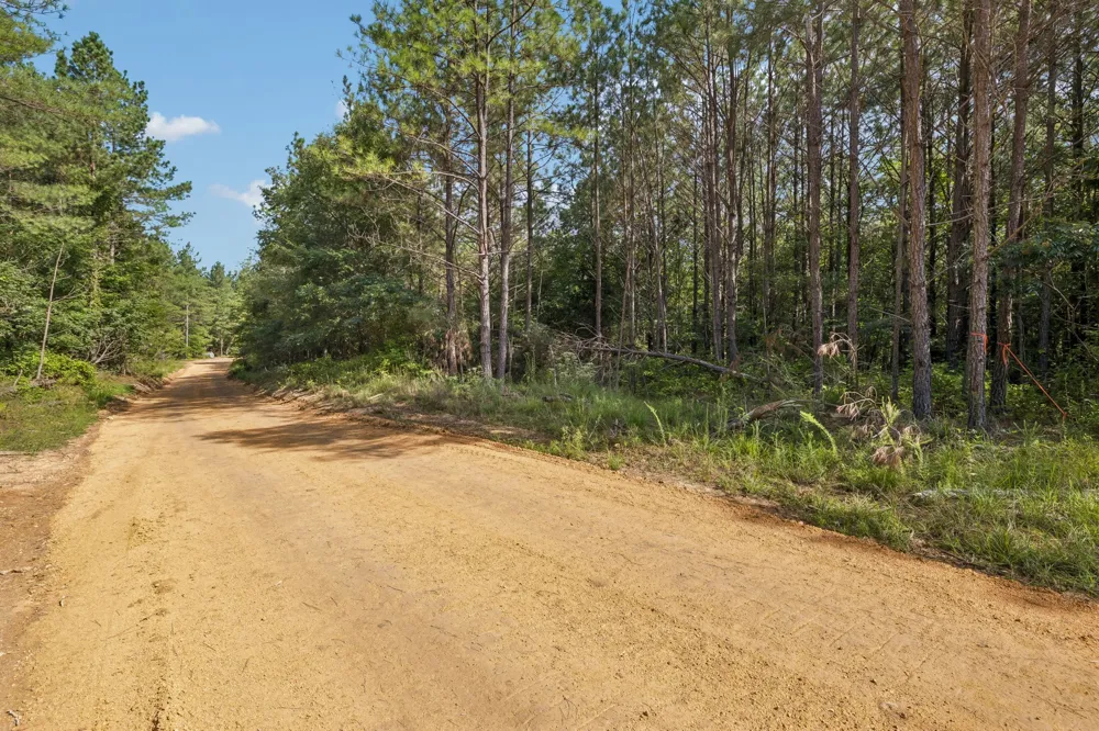 0 Falls Branch Road Duck River, TN 38454