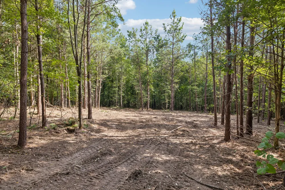 0 Falls Branch Road Duck River, TN 38454