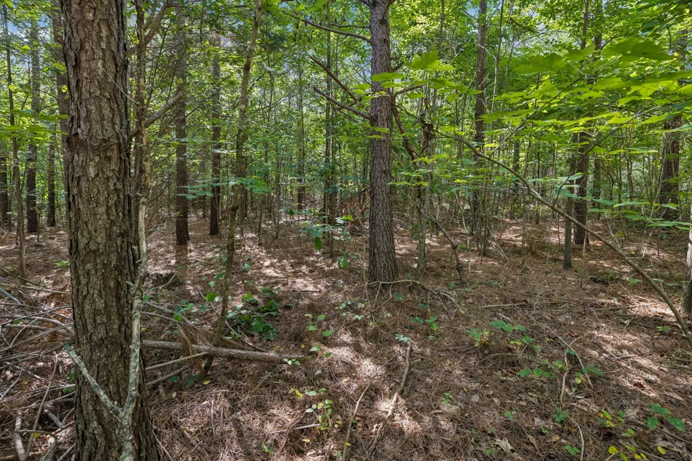 0 Falls Branch Road Duck River, TN 38454