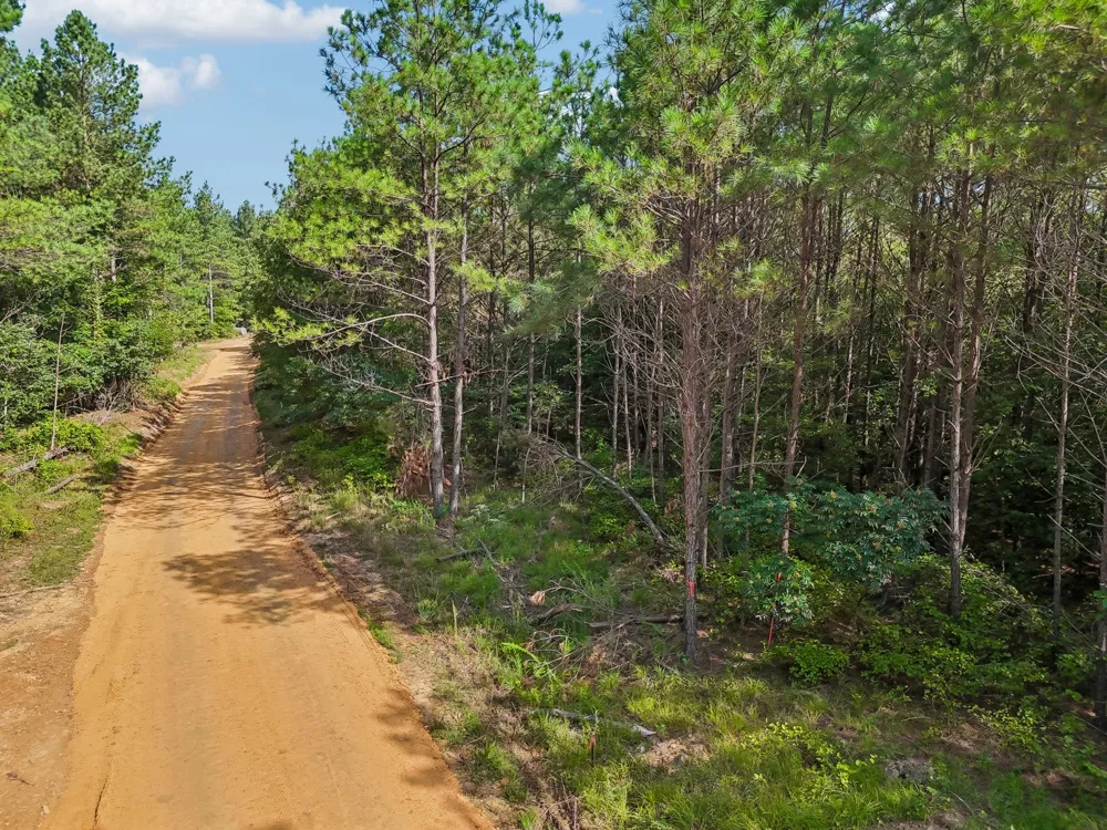 0 Falls Branch Road Duck River, TN 38454