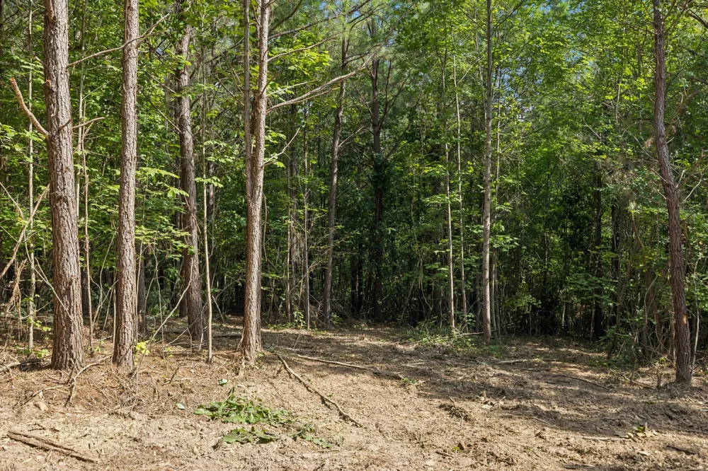 0 Falls Branch Road Duck River, TN 38454