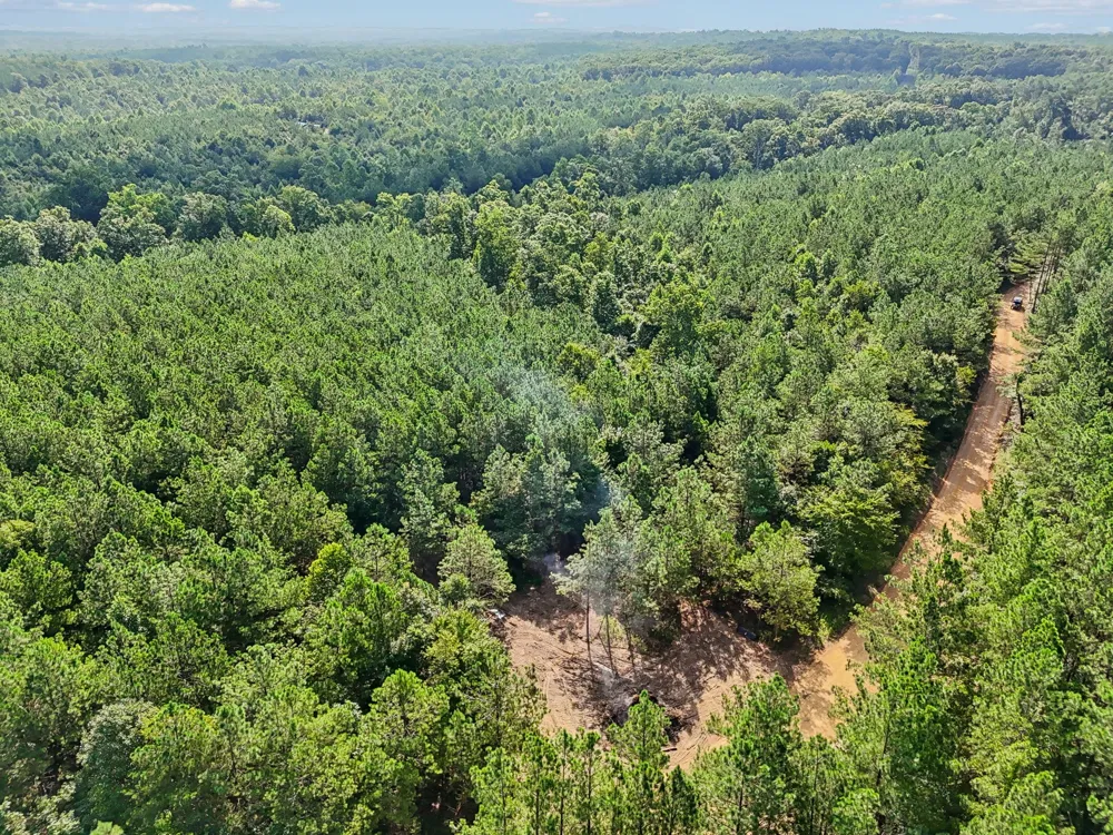 0 Falls Branch Road Duck River, TN 38454