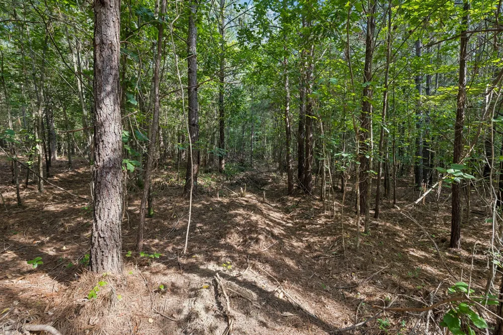 0 Falls Branch Road Duck River, TN 38454