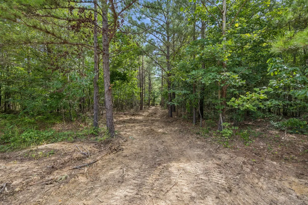 0 Falls Branch Road Duck River, TN 38454