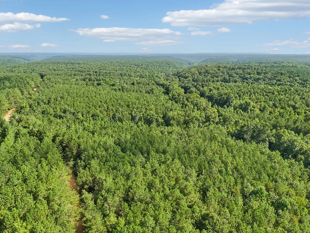 0 Falls Branch Road Duck River, TN 38454