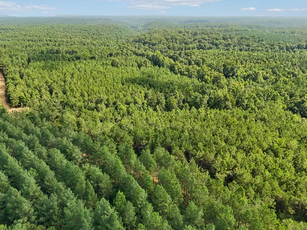 0 Falls Branch Road Duck River, TN 38454