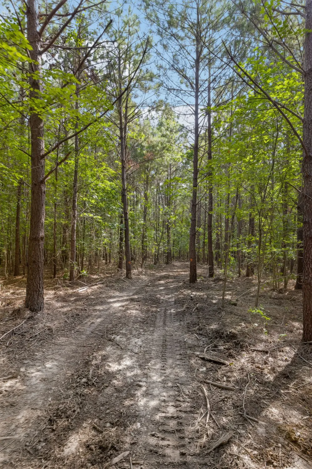 0 Falls Branch Road Duck River, TN 38454