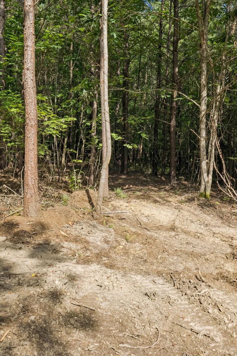 0 Falls Branch Road Duck River, TN 38454