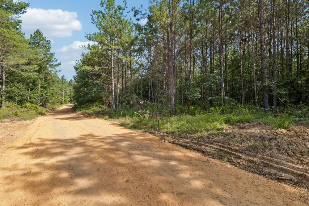 0 Falls Branch Road Duck River, TN 38454