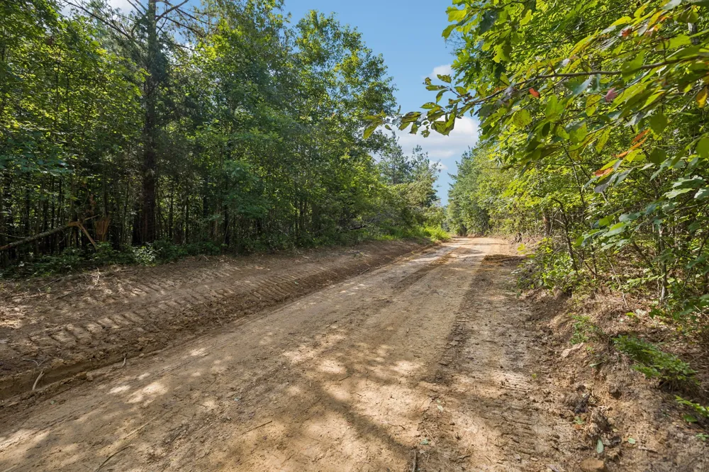 0 Falls Branch Road Duck River, TN 38454
