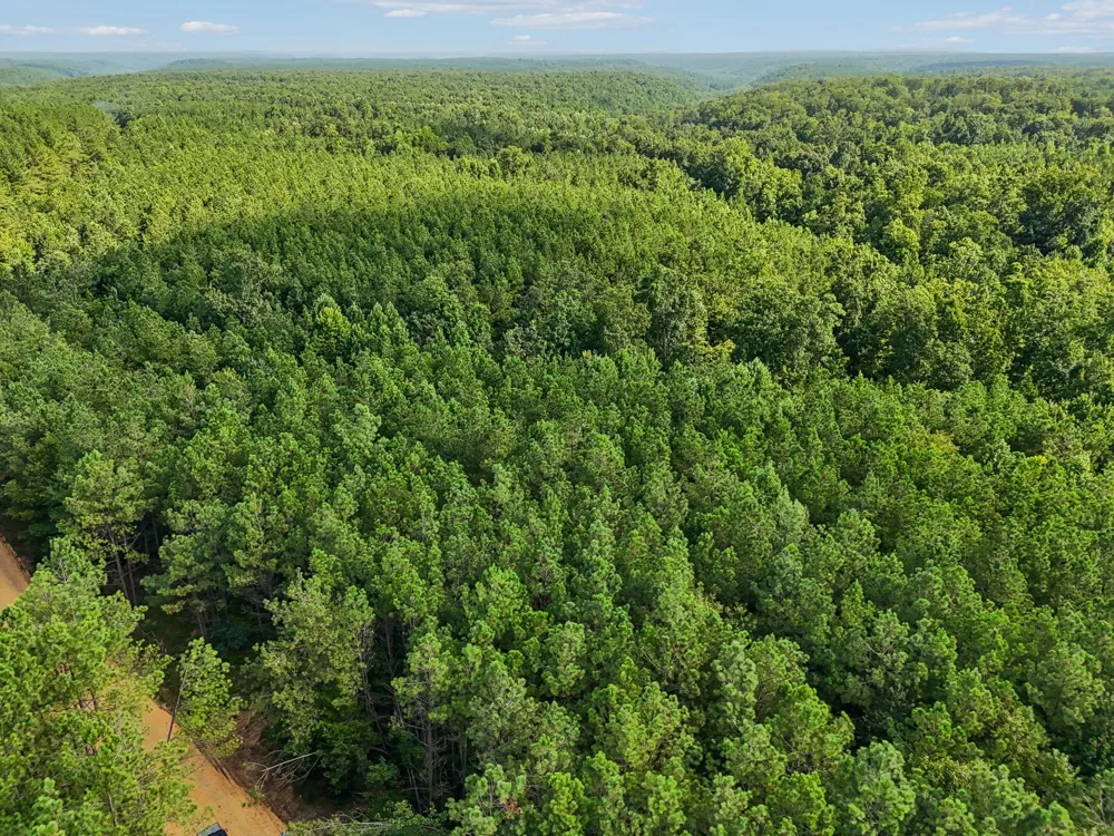 0 Falls Branch Road Duck River, TN 38454