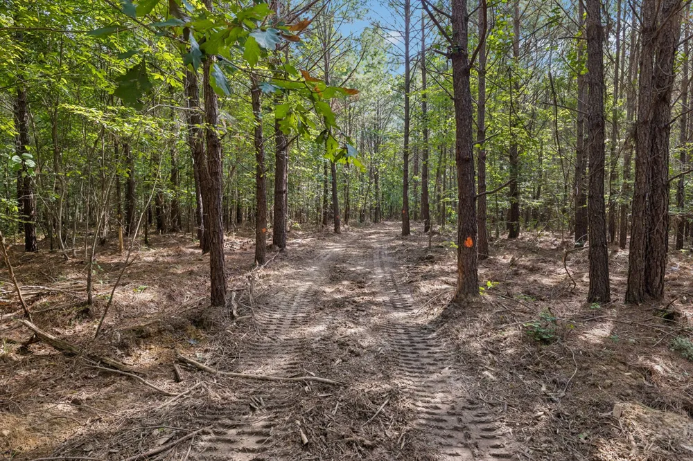 0 Falls Branch Road Duck River, TN 38454