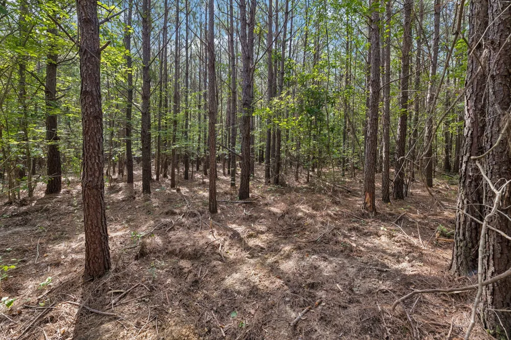 0 Falls Branch Road Duck River, TN 38454