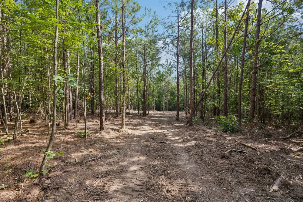 0 Falls Branch Road Duck River, TN 38454