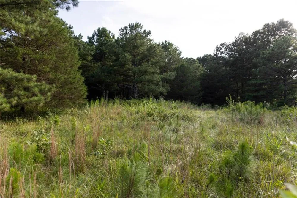 1870 Double Springs Church Road Monroe, GA 30656