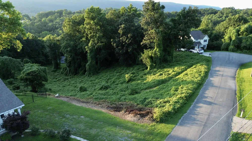 58 Matthew Lane Dayton, TN 37321