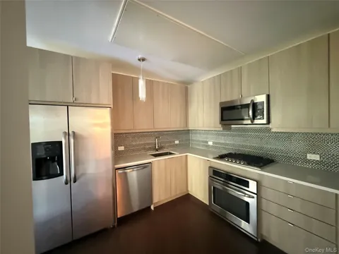 250 S Central Park Avenue #3L