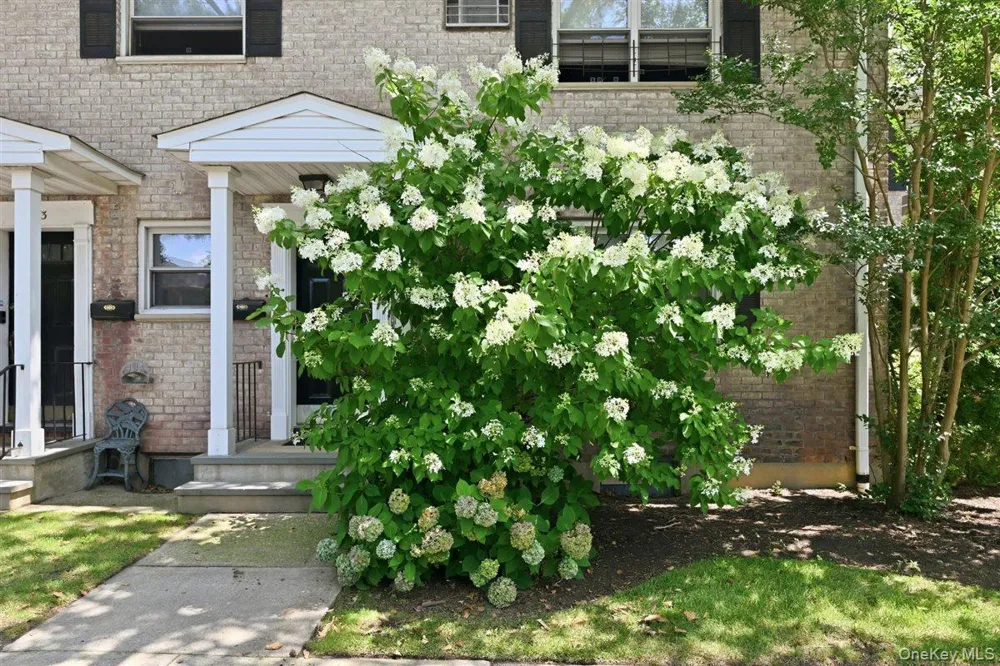 82-75 Langdale Street #103A New Hyde Park, NY 11040