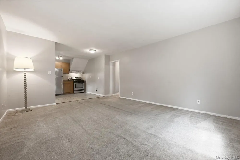 82-75 Langdale Street #103A New Hyde Park, NY 11040