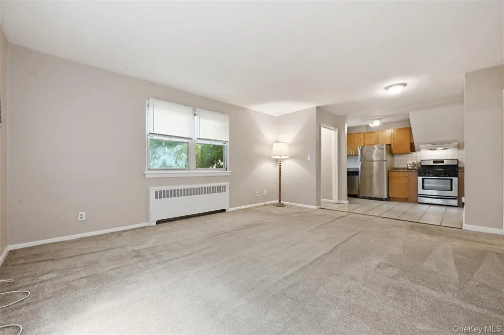 82-75 Langdale Street #103A New Hyde Park, NY 11040