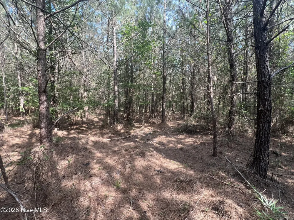 2364 Nc 102 E Ayden, NC 28513