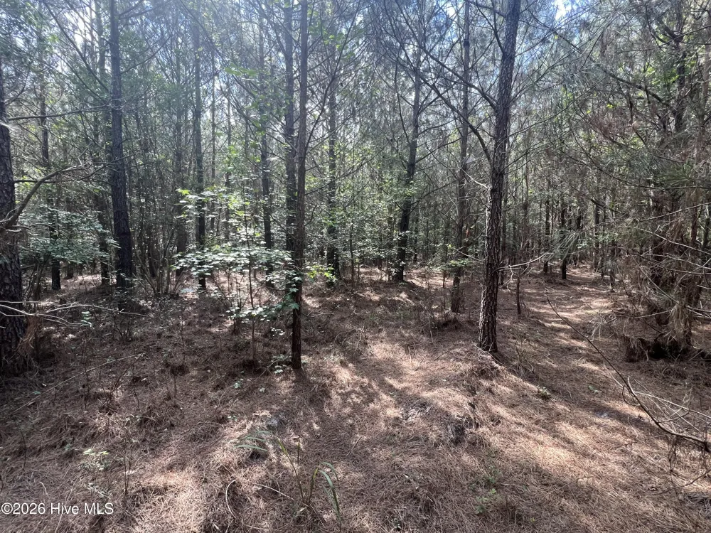 2364 Nc 102 E Ayden, NC 28513