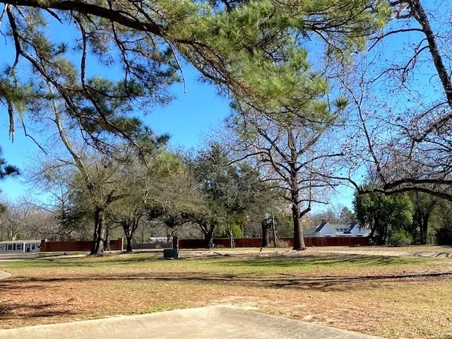 Belmont Drive Athens, TX 75751