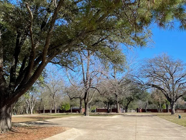 Belmont Drive Athens, TX 75751