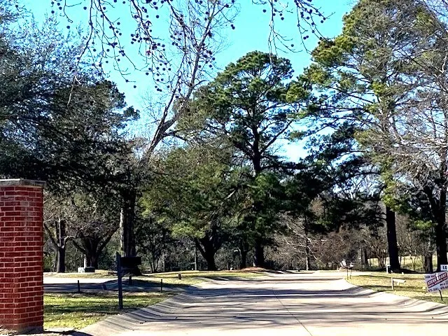 Belmont Drive Athens, TX 75751