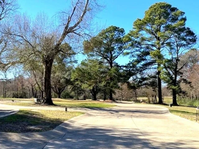 Belmont Drive Athens, TX 75751