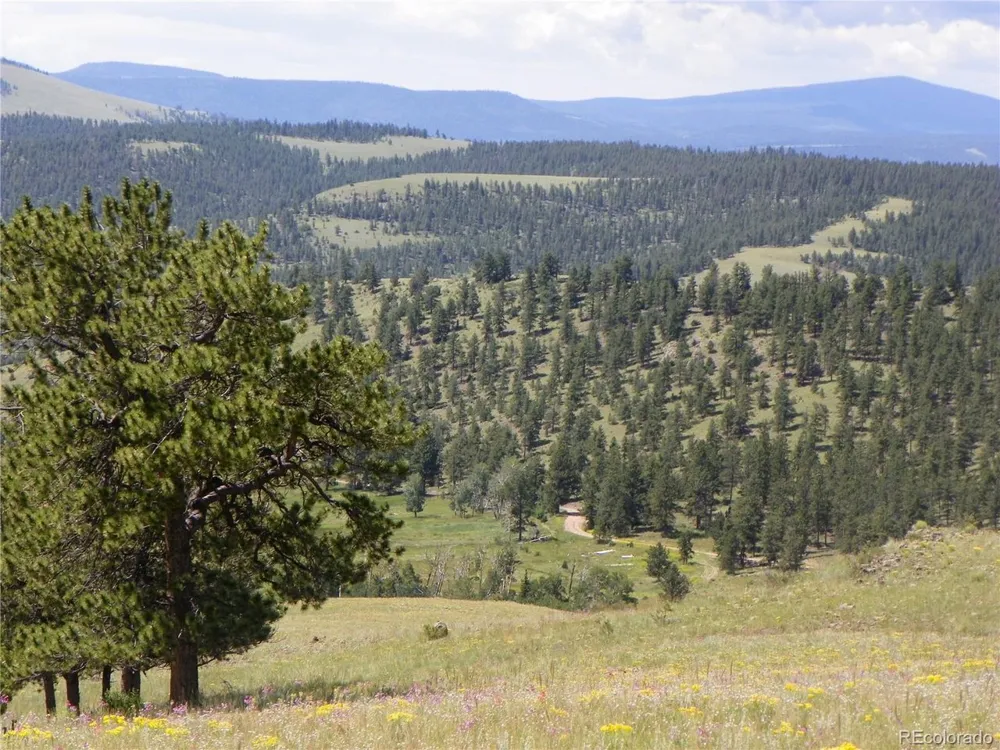 33HH Saguache, CO 81149