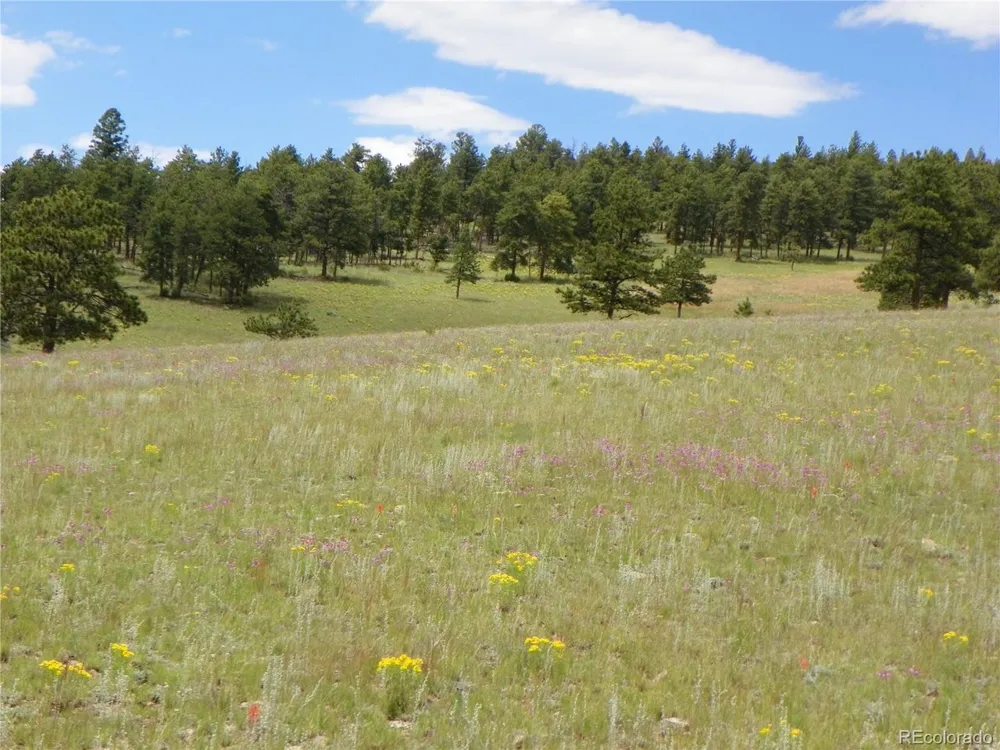 33HH Saguache, CO 81149