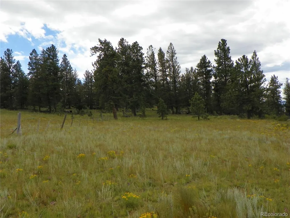 33HH Saguache, CO 81149