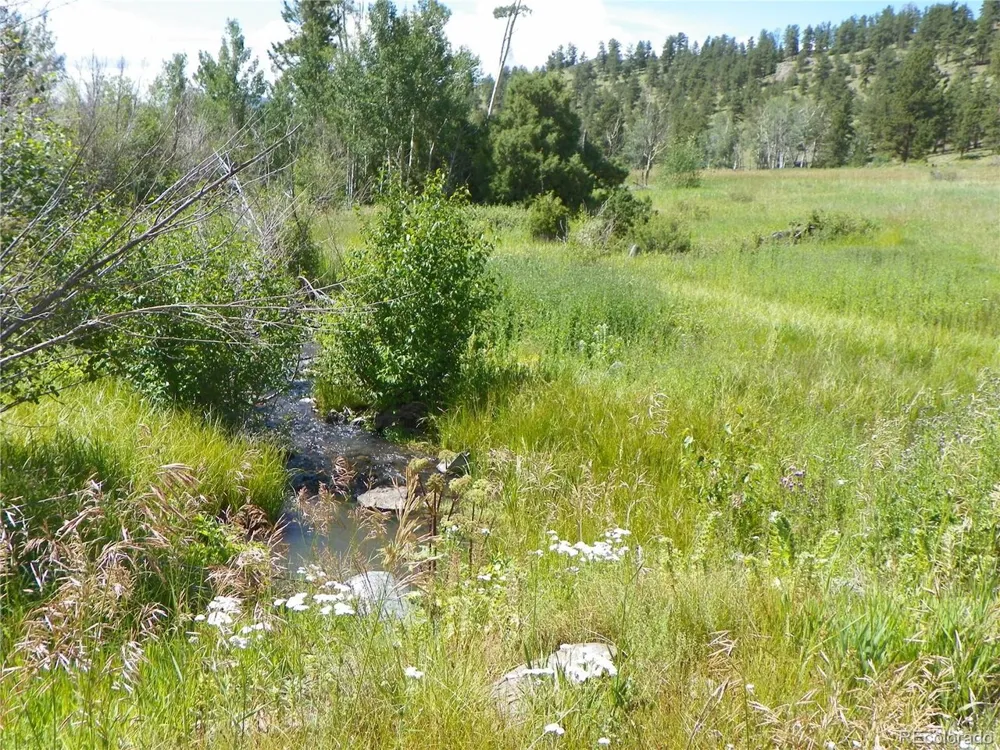 33HH Saguache, CO 81149