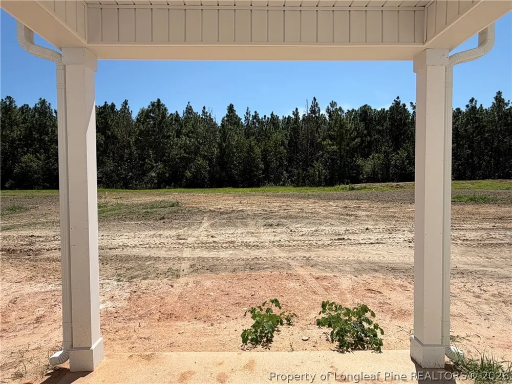 347 Thorntons Creek Drive Erwin, NC 28339