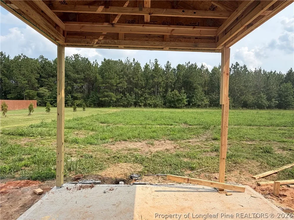 321 Thorntons Creek Drive Erwin, NC 28339