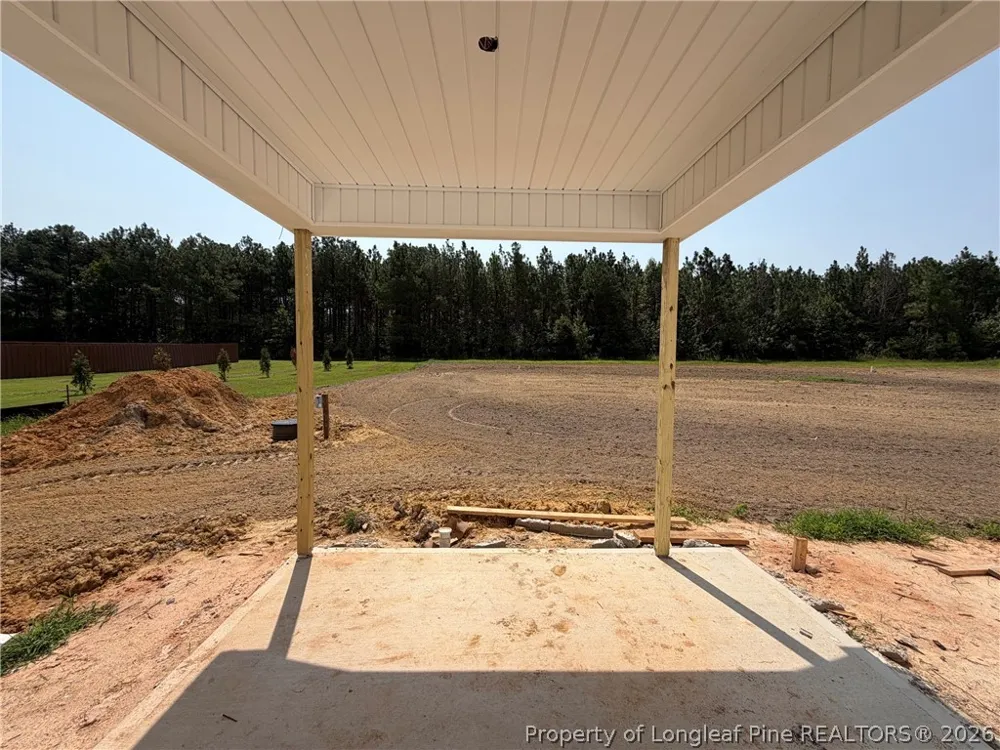 321 Thorntons Creek Drive Erwin, NC 28339